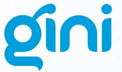 Gini